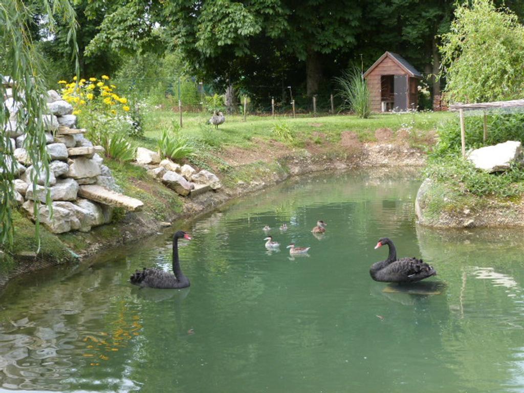 Le Bocard Villa Thonnance-lès-Joinville Dış mekan fotoğraf